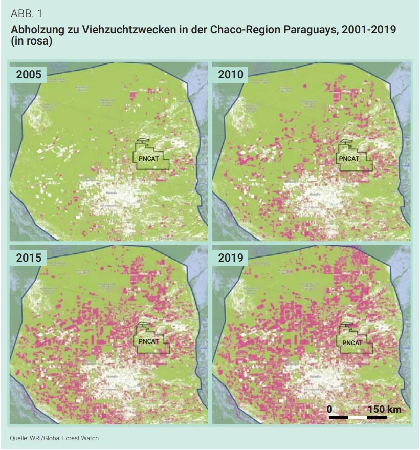 Das Abholzen des Chacos von 2005 bis 2019