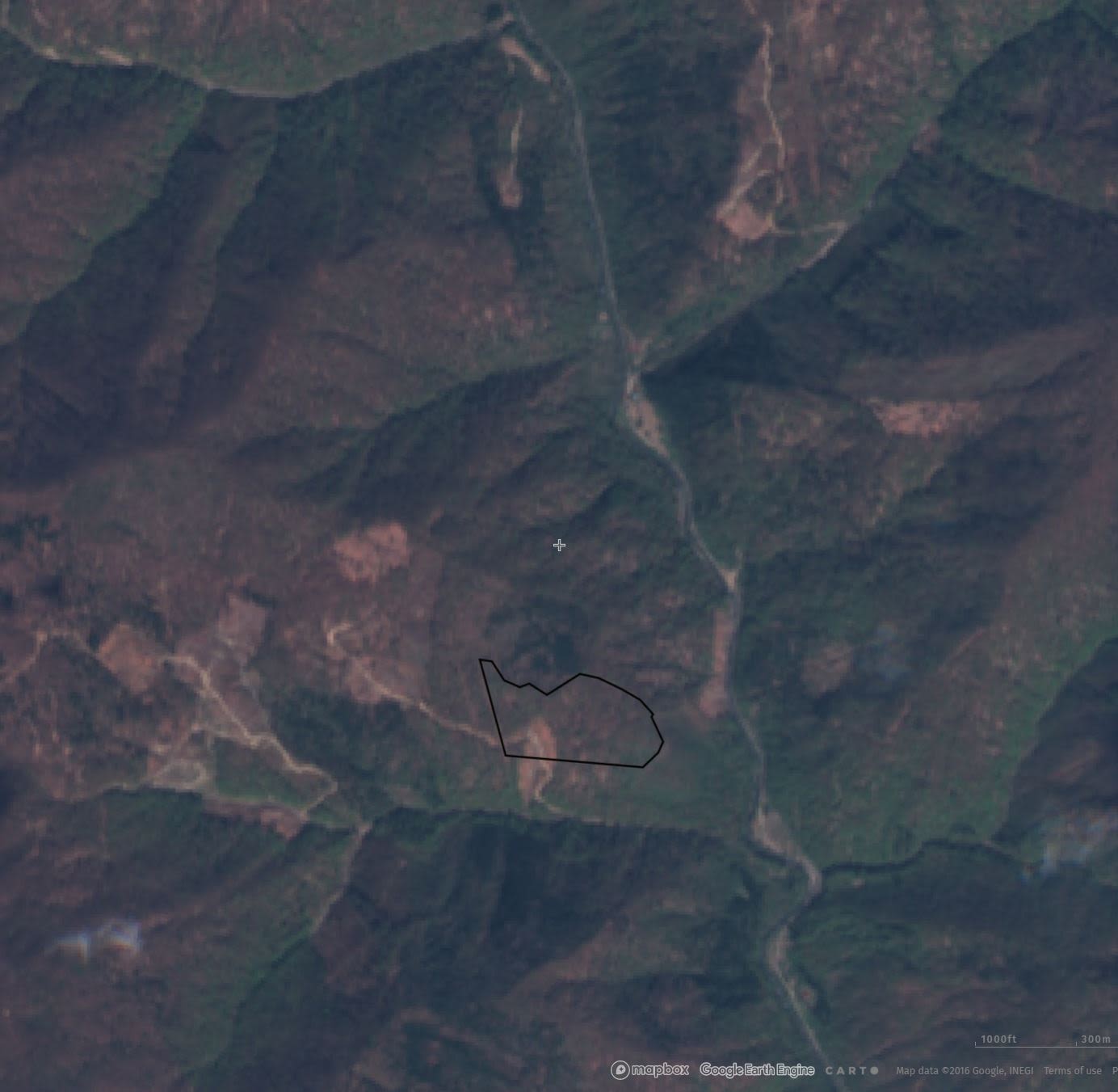 До і після – супутникові знімки однієї з численних ділянок, де «ВГСМ» проводила незаконні суцільні рубки букового лісу в «сезон тиші» і карантину, спричиненого COVID, квітень 2020 року (Джерело: Супутникові знімки Sentinel , доступ отримано через “Всесвітню лісову варту” (Global Forest Watch)