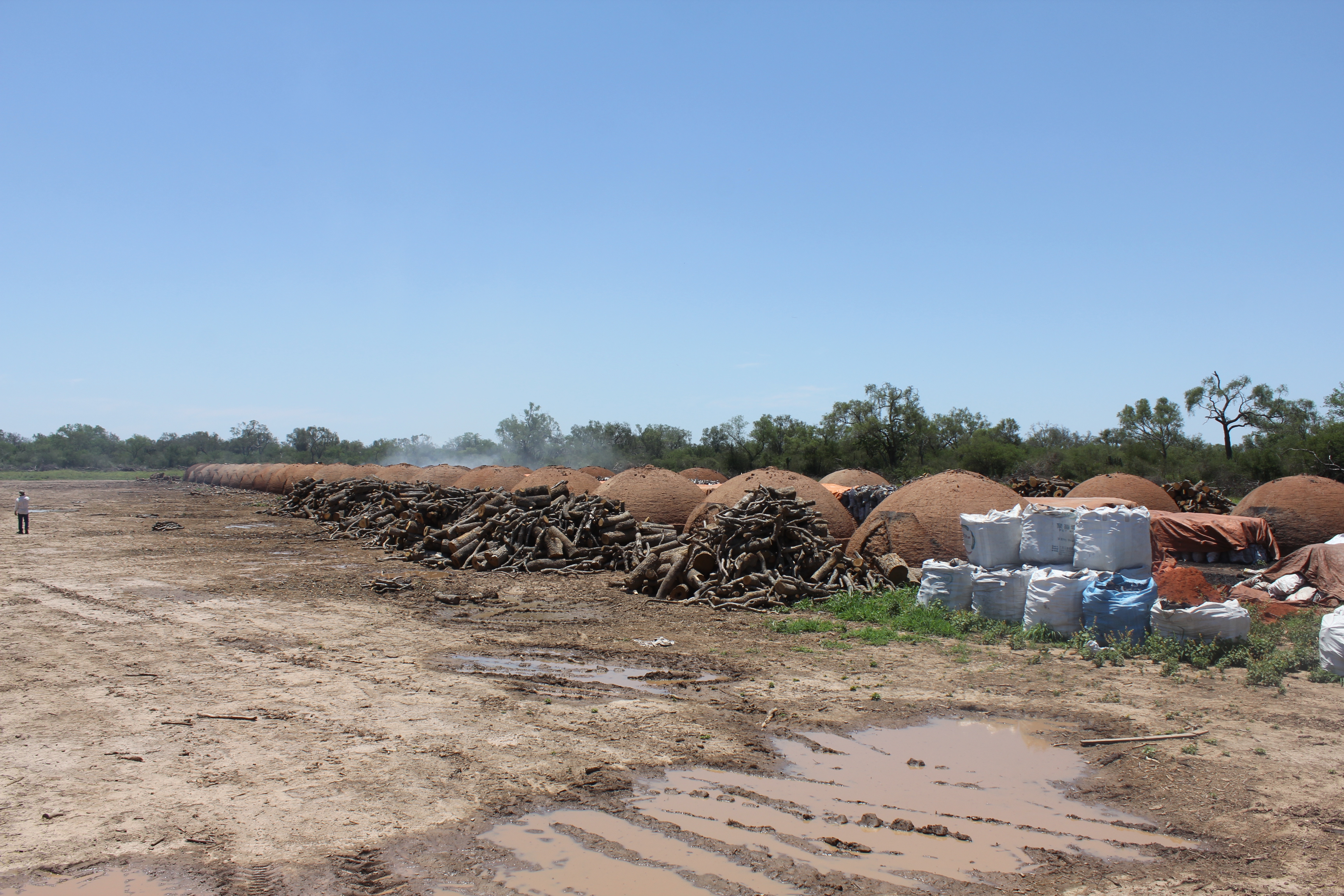 Earthsight’s report linked European and US BBQ charcoal to a hidden deforestation crisis in Paraguay. Photo: Earthsight