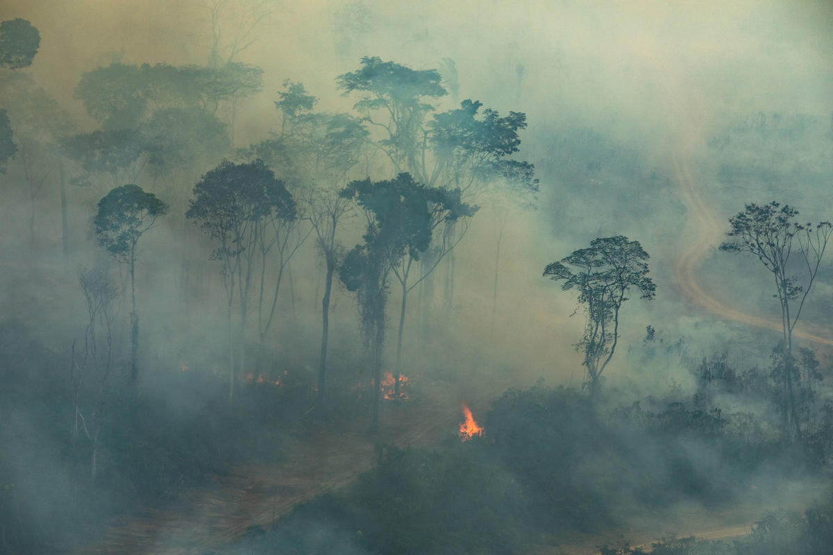 Forest Fires in Porto Velho in Rondônia, Brazil (2019)