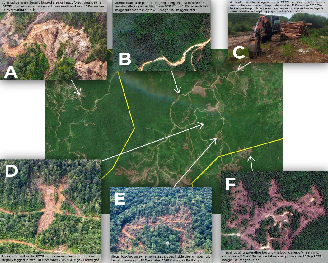 Findings from Earthsight/Auriga analysis. Underlying satellite image is from 27 October 2025, prior to the floods
