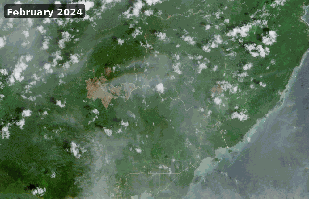 Deforestation in the concession of PT Indosubur Sukses Makmur