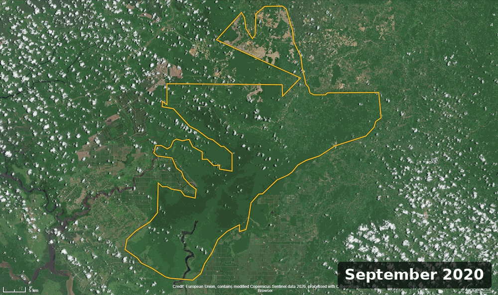 Deforestation in the concession of PT Mayawana Persada, September 2020–April 2024