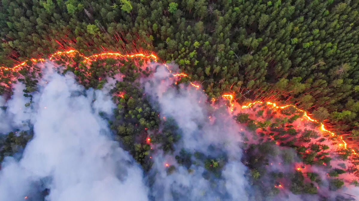 Aerial view of forest fire in Russia's Krasnoyarsk region, July 2020 © Julia Petrenko / Greenpeace