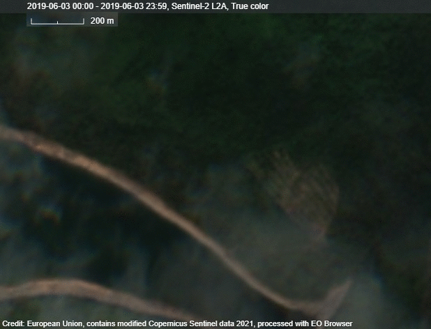 Satellite images taken from 3 June 2019 to 1 July 2019 show trees were felled in protected forests within Vertical-B lease 91-21-3, near Polyanka Bay, after the company lost an appeal against the regional arbitration court's ruling. Satellite imagery: European Space Agency (ESA) Copernicus Sentinel / via Sentinel Hub