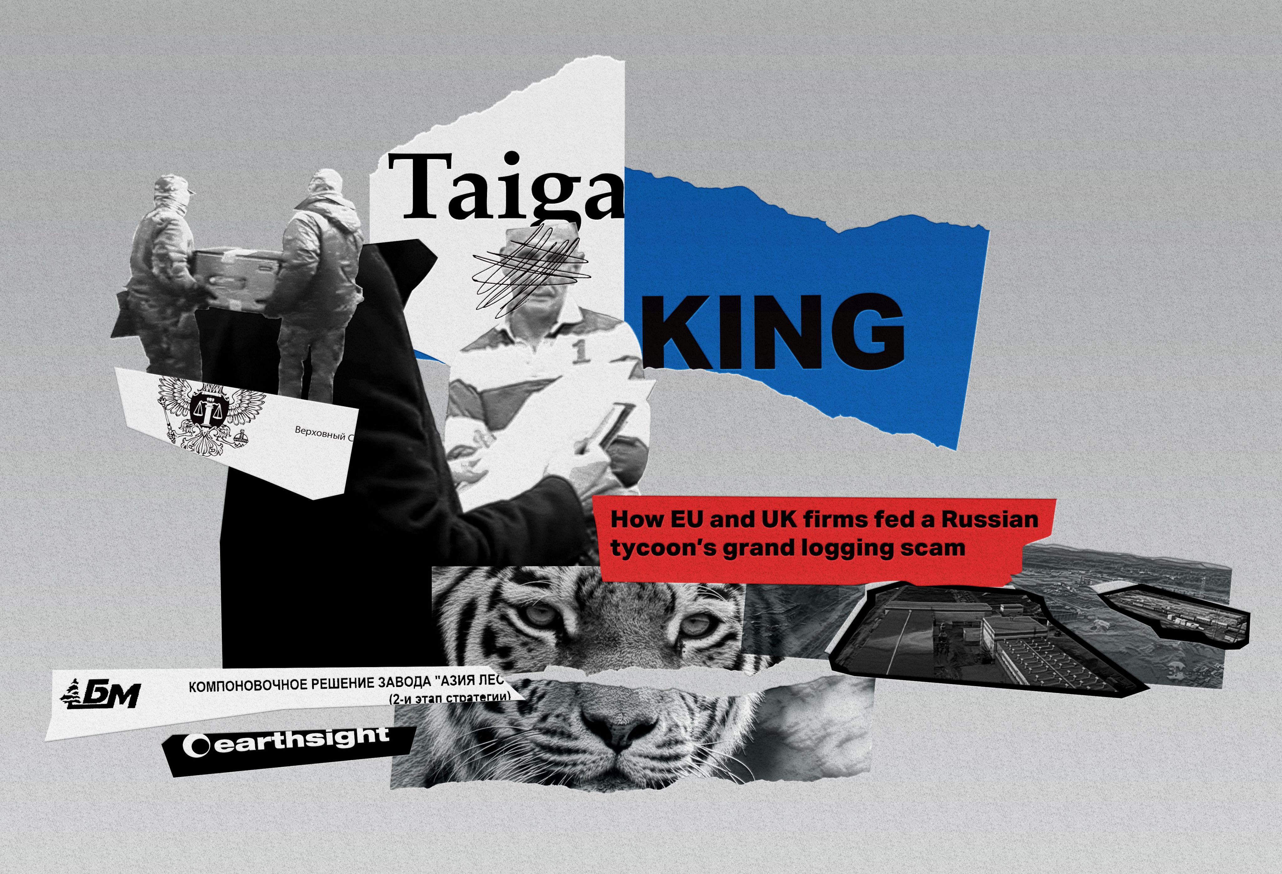 Earthsight report Taiga King was published in late 2020 © Earthsight