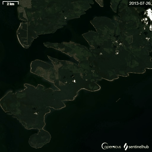 Satellite images taken from 2013 to 2020 show logging in Vilis forest lease 7-09 near the shores of rivers and the Bratsk reservoir. Satellite imagery: European Space Agency (ESA) Copernicus Sentinel / via Sentinel Hub