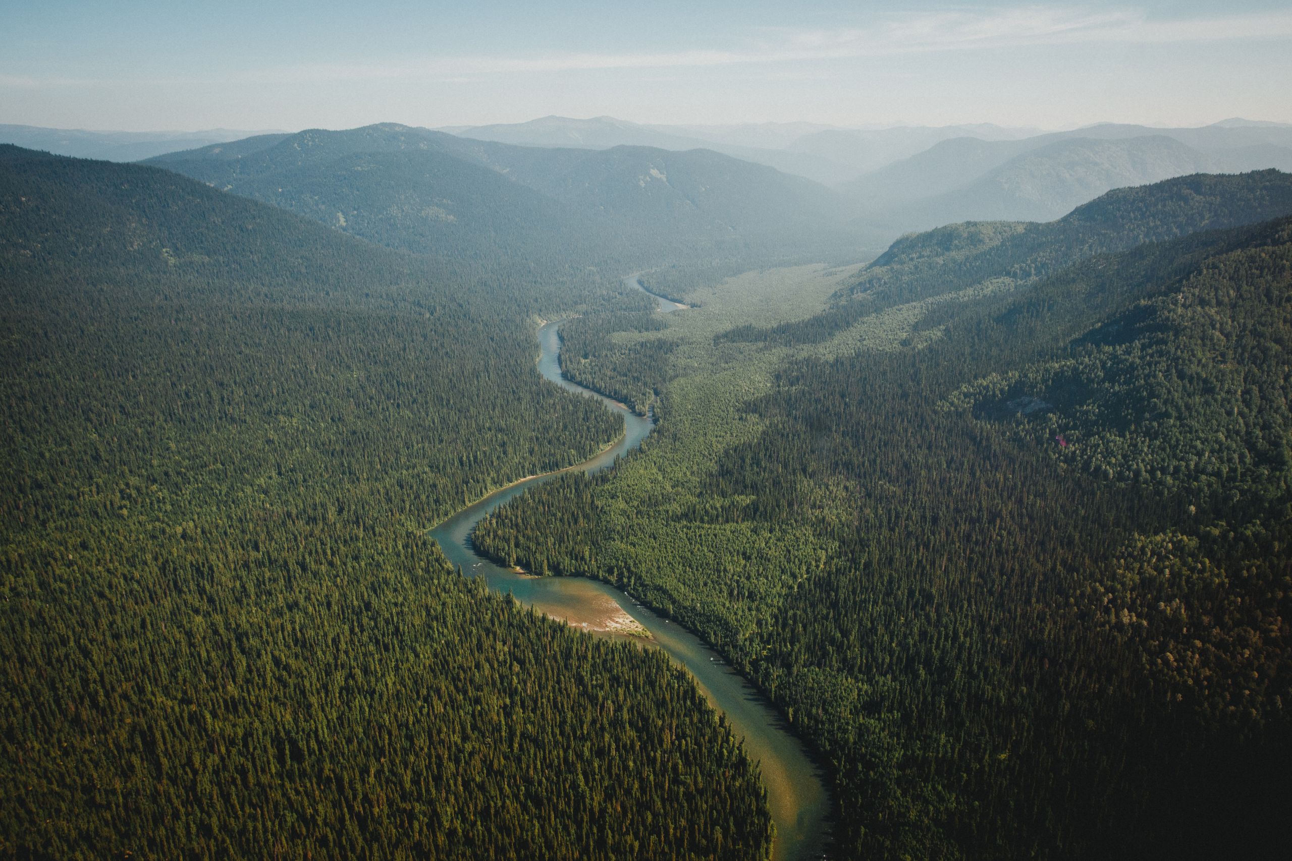 Siberian taiga. Photo: Shutterstock
