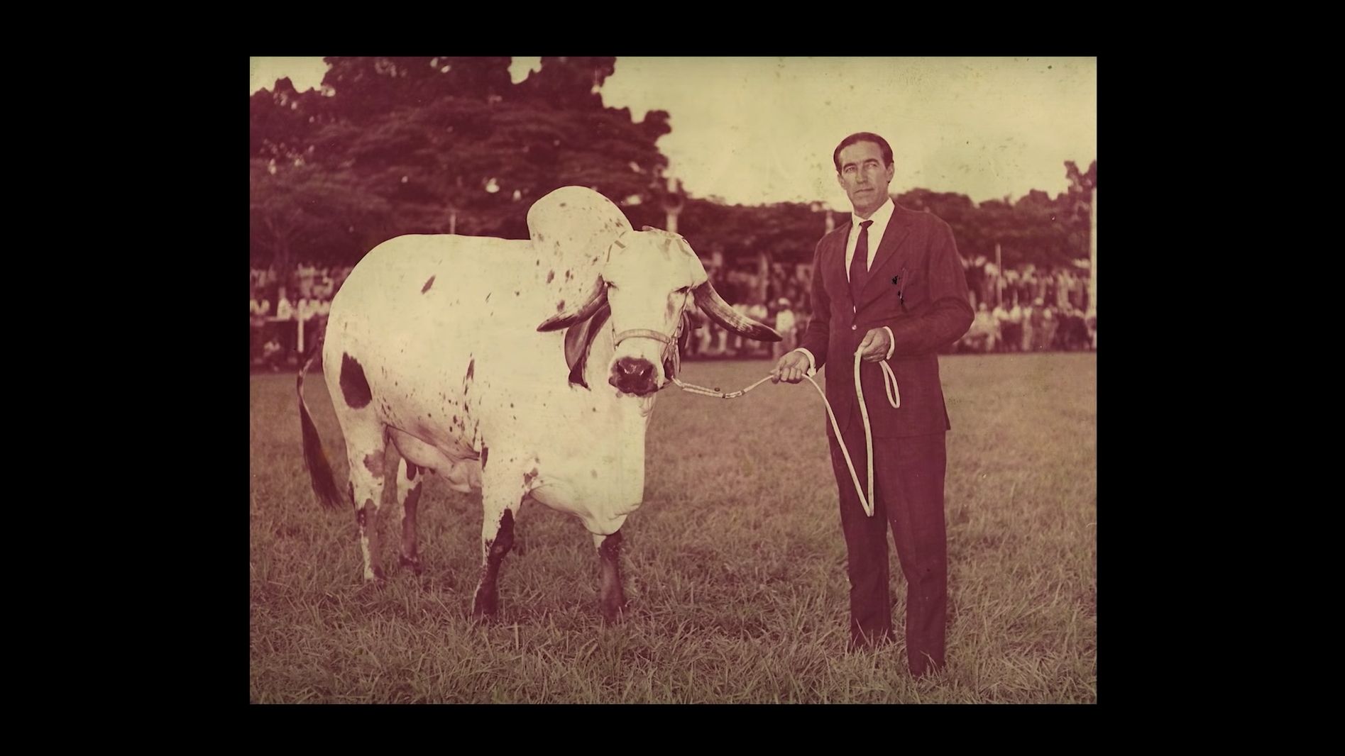 An image from the music video for 'Jacintho' by Brazilian singer-songwriter Gilberto Gil, which uses family photos to chart the life of the eponymous cattle baron Jacintho Honório da Silva Filho. Source: Gilberto Gil / YouTube