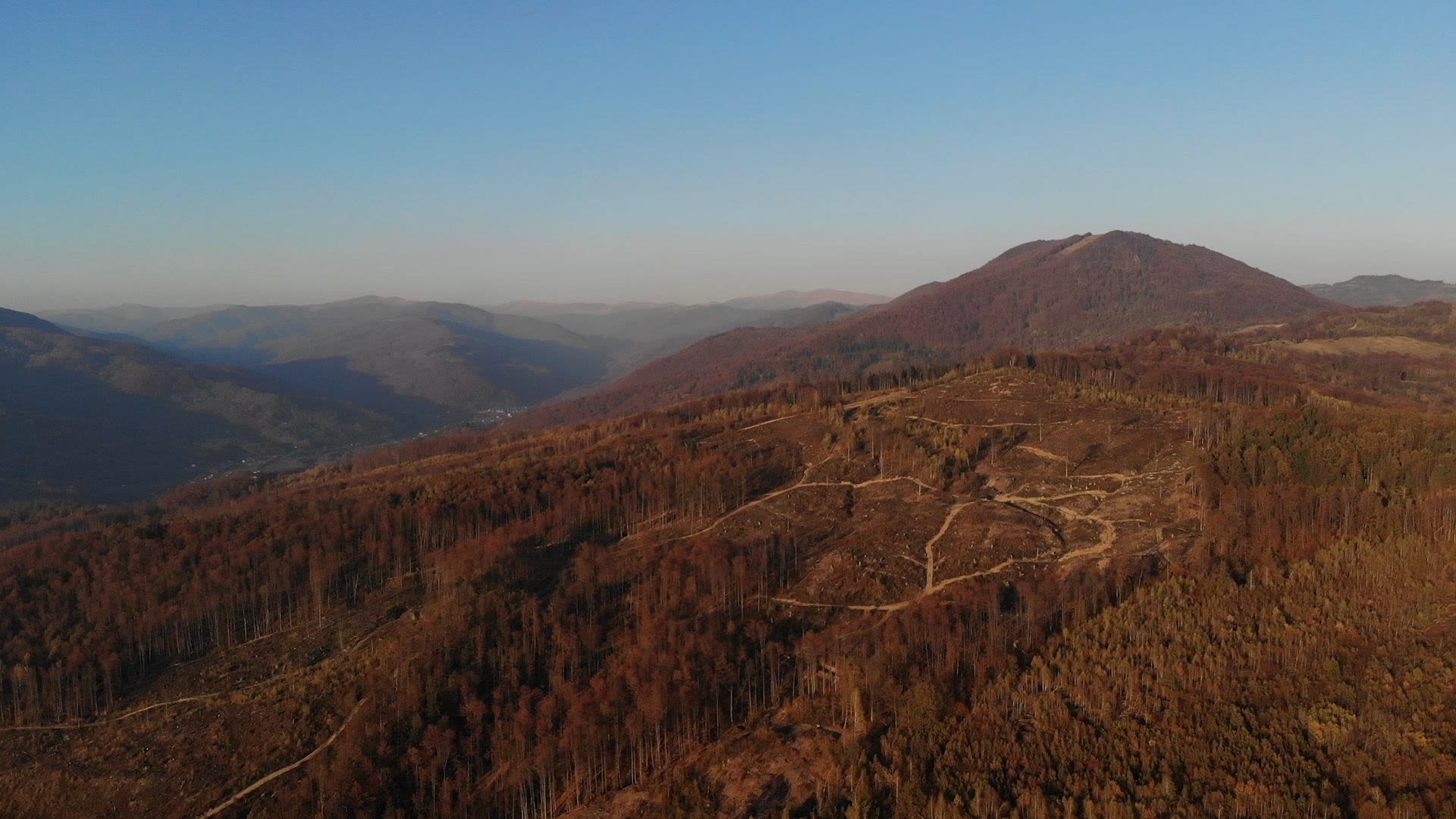 Illegal sanitary logging site in Velyky Bychkiv, Ukraine © Earthsight