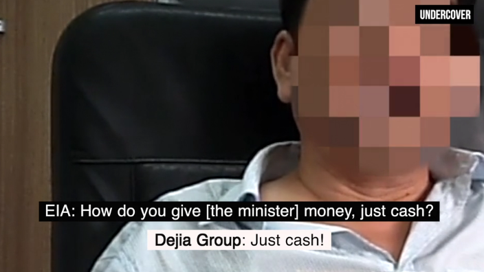 Undercover footage of Chinese logging executive in Republic of Congo alleging bribery of Minister Henri Djombo © EIA