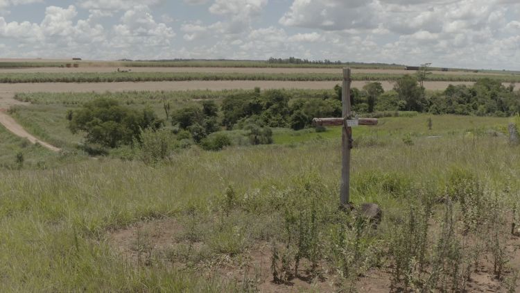 Rancho da Viola Distribuidora - QUEM SOMOS