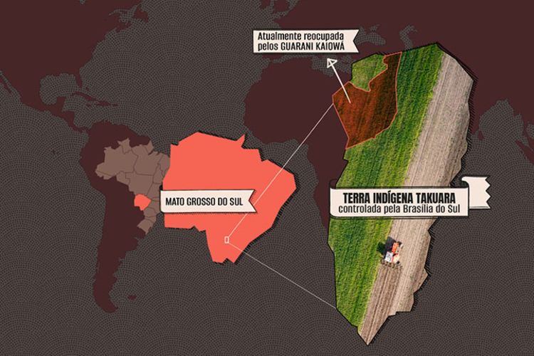 Armas, marco temporal e agrotóxicos: leia as prioridades