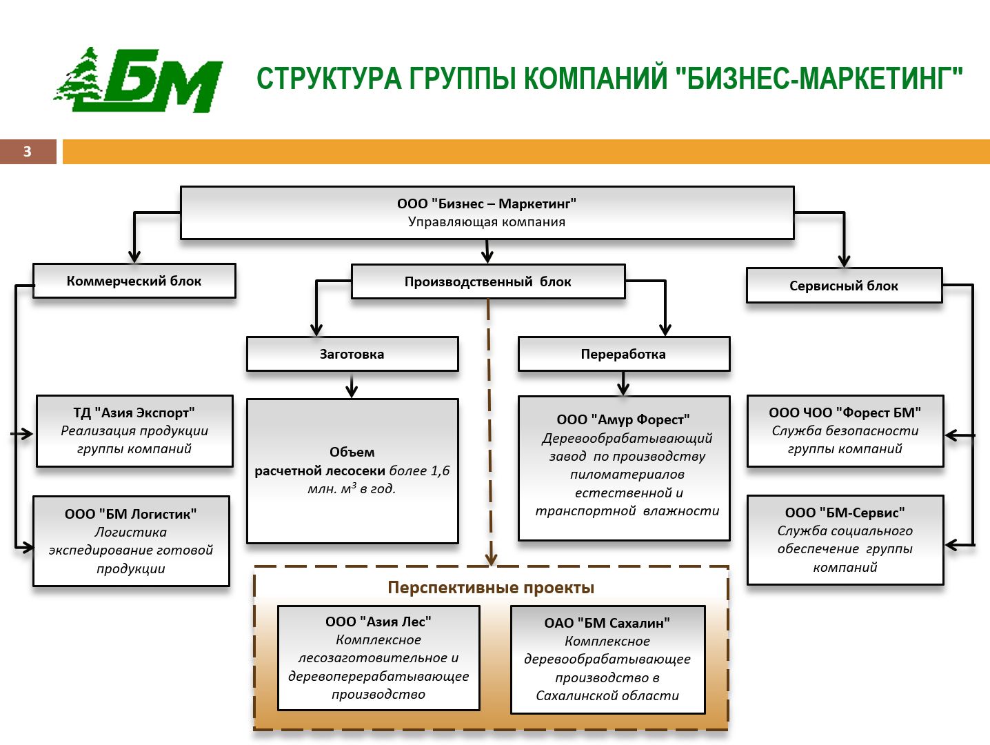 PowerPoint slide from 2013 showing BM Group corporate structure. "Management company" Business - Marketing LLC (ООО "Бизнес Маркетинг") was later renamed BM Group LLC (ООО УК "БМ Групп").